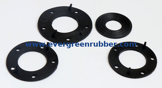Fuel Gasket
