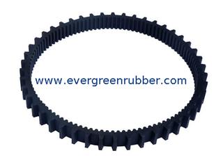 Drive Belt